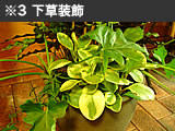 下草装飾
