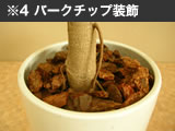バークチップ装飾