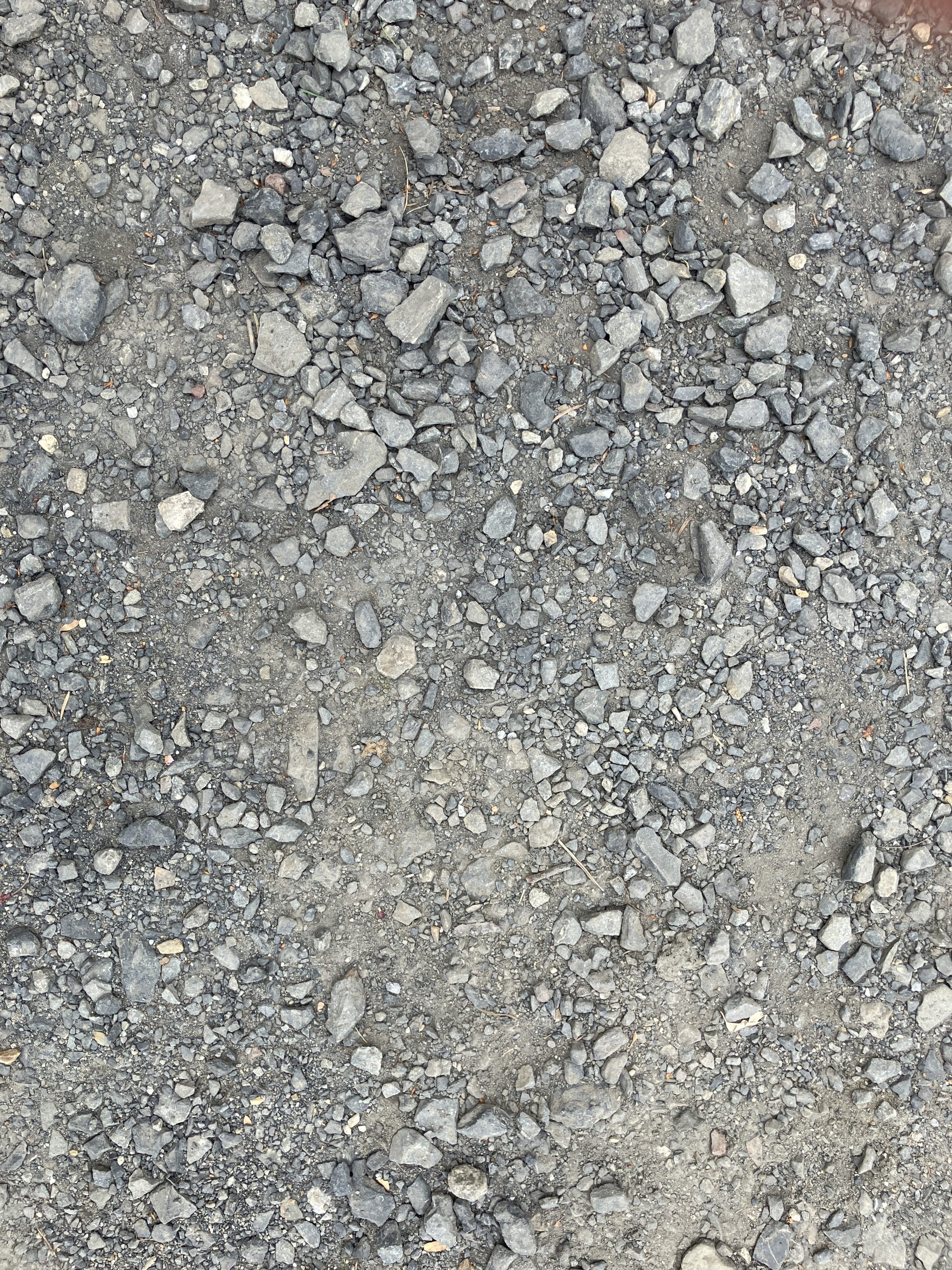 舎利石 日本の石 青森県産 舎利石 : 奇跡の石ころ